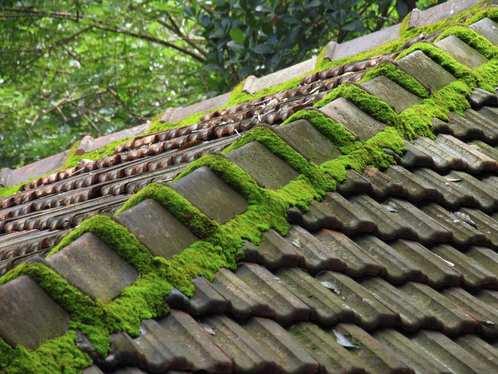 Démoussage de toiture à La Vraie-Croix